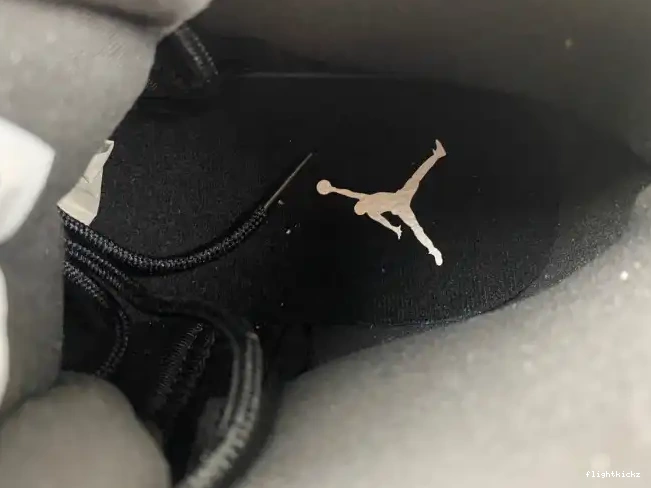 CT8013-019 Black Grey Air Wolf Jordan 12 0626